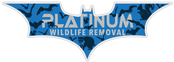 Portage Wildlife Control